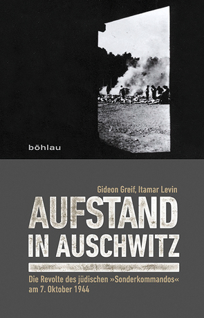 Aufstand in Auschwitz von Greif,  Gideon, Levin,  Itamar