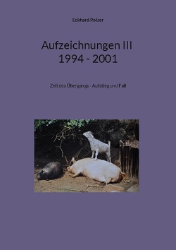 Aufzeichnungen III; 1994 – 2001 von Polzer,  Eckhard