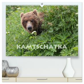 Aug in Aug mit den Braunbären in Kamtschatka (hochwertiger Premium Wandkalender 2024 DIN A2 quer), Kunstdruck in Hochglanz von Peyer,  Stephan