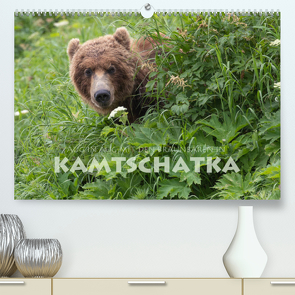 Aug in Aug mit den Braunbären in Kamtschatka (Premium, hochwertiger DIN A2 Wandkalender 2022, Kunstdruck in Hochglanz) von Peyer,  Stephan