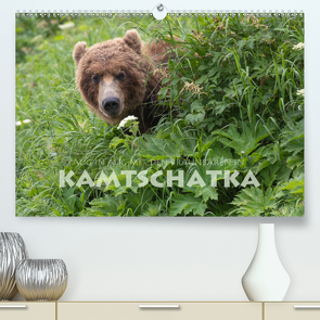 Aug in Aug mit den Braunbären in Kamtschatka (Premium, hochwertiger DIN A2 Wandkalender 2020, Kunstdruck in Hochglanz) von Peyer,  Stephan