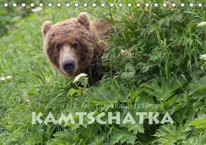 Aug in Aug mit den Braunbären in Kamtschatka (Tischkalender 2021 DIN A5 quer) von Peyer,  Stephan