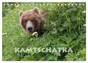 Aug in Aug mit den Braunbären in Kamtschatka (Tischkalender 2024 DIN A5 quer), CALVENDO Monatskalender von Peyer,  Stephan