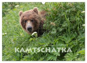 Aug in Aug mit den Braunbären in Kamtschatka (Wandkalender 2024 DIN A3 quer), CALVENDO Monatskalender von Peyer,  Stephan