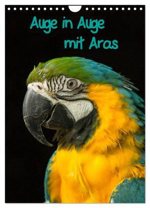 Auge in Auge mit Aras (Wandkalender 2024 DIN A4 hoch), CALVENDO Monatskalender von Bönner,  Marion