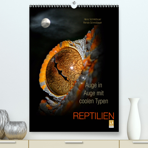 Auge in Auge mit coolen Typen – REPTILIEN (Premium, hochwertiger DIN A2 Wandkalender 2021, Kunstdruck in Hochglanz) von Schmidbauer,  Heinz