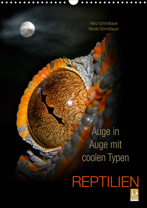 Auge in Auge mit coolen Typen – REPTILIEN (Wandkalender 2021 DIN A3 hoch) von Schmidbauer,  Heinz