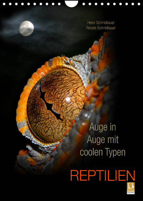 Auge in Auge mit coolen Typen – REPTILIEN (Wandkalender 2022 DIN A4 hoch) von Schmidbauer,  Heinz