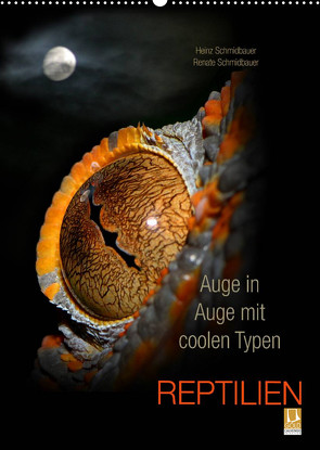 Auge in Auge mit coolen Typen – REPTILIEN (Wandkalender 2023 DIN A2 hoch) von Schmidbauer,  Heinz