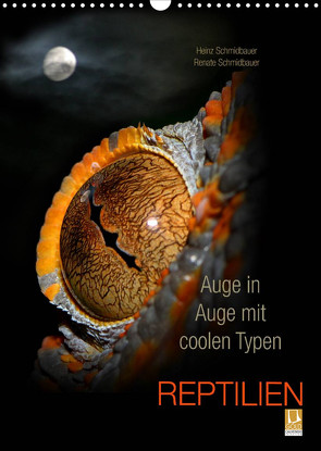 Auge in Auge mit coolen Typen – REPTILIEN (Wandkalender 2023 DIN A3 hoch) von Schmidbauer,  Heinz
