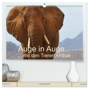 Auge in Auge mit den Tieren Afrikas (hochwertiger Premium Wandkalender 2024 DIN A2 quer), Kunstdruck in Hochglanz von Dürr,  Brigitte