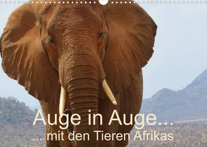 Auge in Auge mit den Tieren Afrikas (Wandkalender 2023 DIN A3 quer) von Dürr,  Brigitte