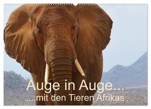 Auge in Auge mit den Tieren Afrikas (Wandkalender 2024 DIN A2 quer), CALVENDO Monatskalender von Dürr,  Brigitte