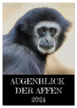 Augenblick der Affen 2024 (Tischkalender 2024 DIN A5 hoch), CALVENDO Monatskalender von Mirko Weigt,  Hamburg,  ©