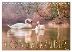 AUGENBLICK ZAUBER (Tischkalender 2024 DIN A5 quer), CALVENDO Monatskalender von Foto Linse,  Caros