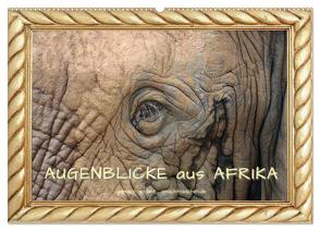 Augenblicke aus Afrika (Wandkalender 2024 DIN A2 quer), CALVENDO Monatskalender von Gerner,  Gabriele