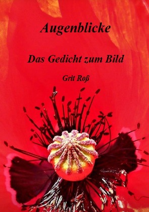 Augenblicke – Das Gedicht zum Bild von Roß,  Grit