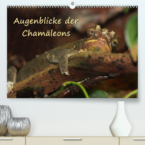 Augenblicke der Chamäleons (Premium, hochwertiger DIN A2 Wandkalender 2023, Kunstdruck in Hochglanz) von Chawera