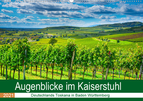 Augenblicke im Kaiserstuhl (Wandkalender 2021 DIN A2 quer) von Voigt,  Tanja