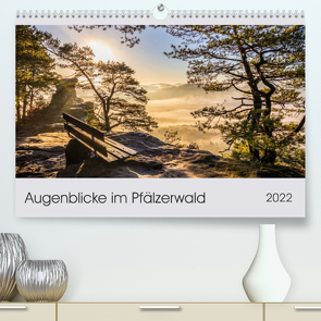 Augenblicke im Pfälzerwald (Premium, hochwertiger DIN A2 Wandkalender 2022, Kunstdruck in Hochglanz) von Flatow,  Patricia