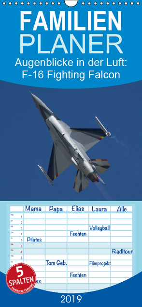 Augenblicke in der Luft: F-16 Fighting Falcon – Familienplaner hoch (Wandkalender 2019 , 21 cm x 45 cm, hoch) von Prokic,  Aleksandar