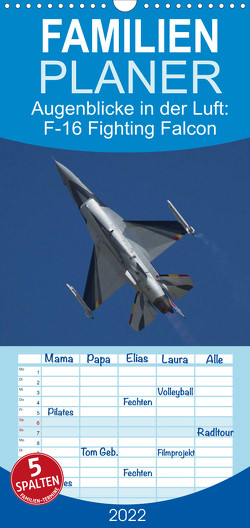 Familienplaner Augenblicke in der Luft: F-16 Fighting Falcon (Wandkalender 2022 , 21 cm x 45 cm, hoch) von Prokic,  Aleksandar