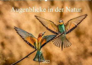 Augenblicke in der Natur (Premium, hochwertiger DIN A2 Wandkalender 2022, Kunstdruck in Hochglanz) von Masserer,  Philipp