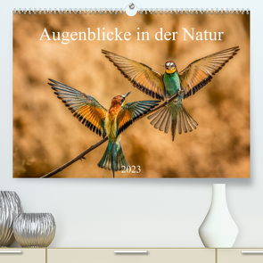 Augenblicke in der Natur (Premium, hochwertiger DIN A2 Wandkalender 2023, Kunstdruck in Hochglanz) von Masserer,  Philipp