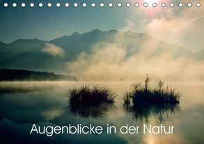 Augenblicke in der Natur (Tischkalender 2018 DIN A5 quer) von Faulhaber,  Birgit