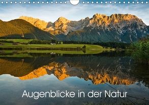 Augenblicke in der Natur (Wandkalender 2018 DIN A4 quer) von Faulhaber,  Birgit