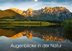 Augenblicke in der Natur (Wandkalender 2019 DIN A3 quer) von Faulhaber,  Birgit
