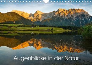 Augenblicke in der Natur (Wandkalender 2019 DIN A4 quer) von Faulhaber,  Birgit