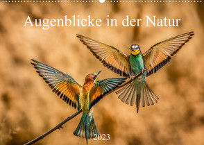 Augenblicke in der Natur (Wandkalender 2023 DIN A2 quer) von Masserer,  Philipp