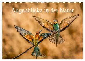 Augenblicke in der Natur (Wandkalender 2024 DIN A2 quer), CALVENDO Monatskalender von Masserer,  Philipp