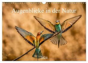 Augenblicke in der Natur (Wandkalender 2024 DIN A3 quer), CALVENDO Monatskalender von Masserer,  Philipp
