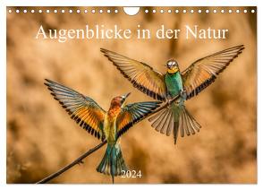 Augenblicke in der Natur (Wandkalender 2024 DIN A4 quer), CALVENDO Monatskalender von Masserer,  Philipp
