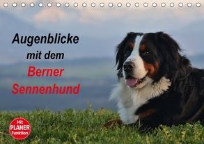 Augenblicke mit dem Berner Sennenhund (Tischkalender 2018 DIN A5 quer) von Hunscheidt,  Hubert