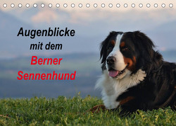 Augenblicke mit dem Berner Sennenhund (Tischkalender 2023 DIN A5 quer) von Hunscheidt,  Hubert