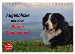 Augenblicke mit dem Berner Sennenhund (Tischkalender 2024 DIN A5 quer), CALVENDO Monatskalender von Hunscheidt,  Hubert