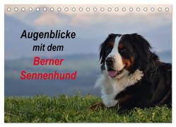 Augenblicke mit dem Berner Sennenhund (Tischkalender 2024 DIN A5 quer), CALVENDO Monatskalender von Hunscheidt,  Hubert