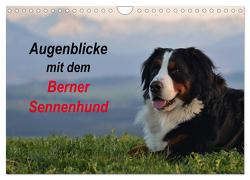 Augenblicke mit dem Berner Sennenhund (Wandkalender 2024 DIN A4 quer), CALVENDO Monatskalender von Hunscheidt,  Hubert