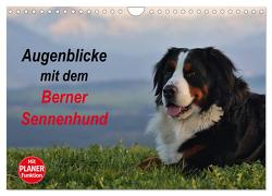 Augenblicke mit dem Berner Sennenhund (Wandkalender 2024 DIN A4 quer), CALVENDO Monatskalender von Hunscheidt,  Hubert