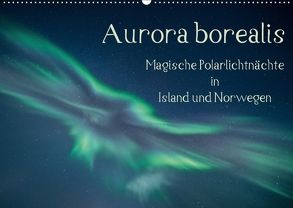 Aurora borealis – Magische Polarlichtnächte in Island und Norwegen (Wandkalender 2018 DIN A2 quer) von Grühn-Stauber,  Kirstin