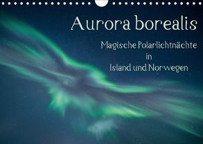 Aurora borealis – Magische Polarlichtnächte in Island und Norwegen (Wandkalender 2018 DIN A4 quer) von Grühn-Stauber,  Kirstin