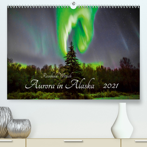 Aurora in Alaska (Premium, hochwertiger DIN A2 Wandkalender 2021, Kunstdruck in Hochglanz) von Wittich,  Reinhold