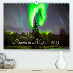 Aurora in Alaska (Premium, hochwertiger DIN A2 Wandkalender 2023, Kunstdruck in Hochglanz) von Wittich,  Reinhold