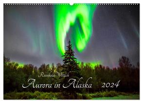 Aurora in Alaska (Wandkalender 2024 DIN A2 quer), CALVENDO Monatskalender von Wittich,  Reinhold