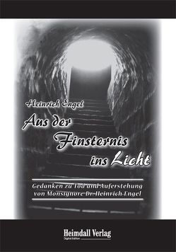 Aus der Finsternis ins Licht von Engel,  Heinrich