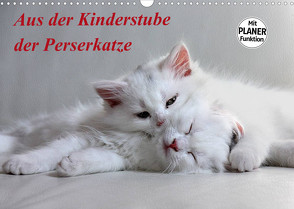 Aus der Kinderstube der Perserkatze (Wandkalender 2022 DIN A3 quer) von Klatt,  Arno