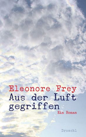 Aus der Luft gegriffen von Frey,  Eleonore